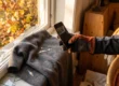Glas kaputt: Eine behandschuhte Hand fotografiert ein zerbrochenes Fenster mit Glasscherben und Herbstlaub draußen.